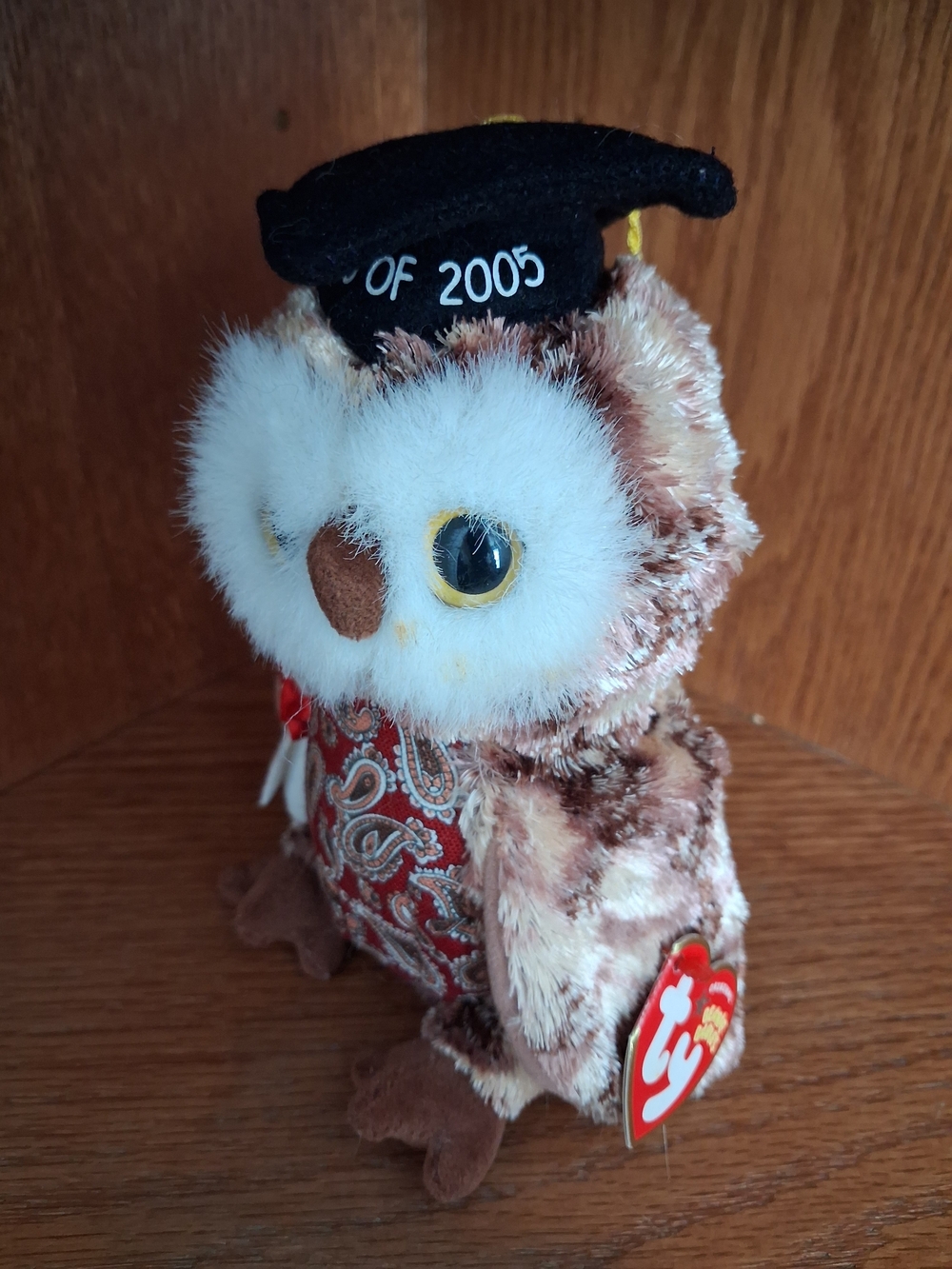 TY Beanie Baby Smarty Owl Class of 2005 | Graduation Plush | Vintage Collectible